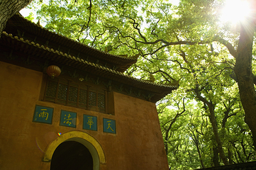法雨寺第 8 张图片