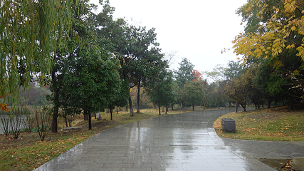 双湖公园第 3 张图片