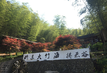 浙东大竹海景区第 39 张图片