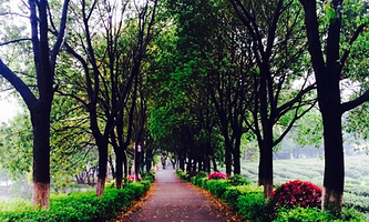 古龙山庄休闲部