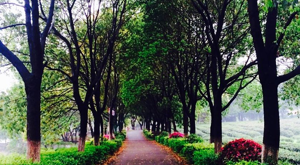 古龙山庄休闲部