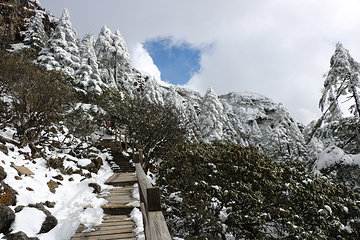 轿子雪山第 19 张图片