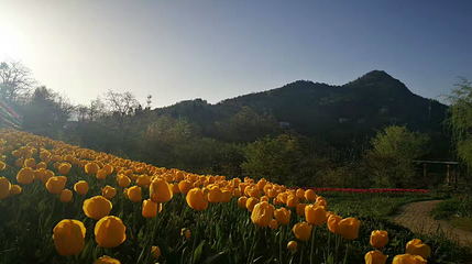 九重花岭景区第 41 张图片