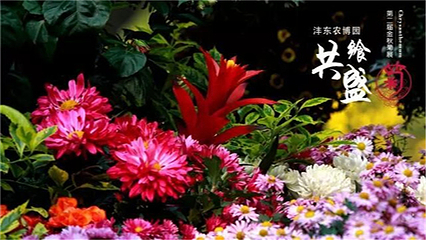 沣东农博园第 14 张图片