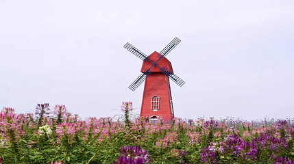 英山四季花海景区第 56 张图片
