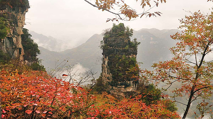 九路寨生态旅游区第 127 张图片