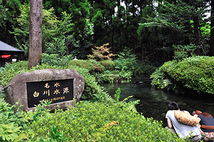白川水源