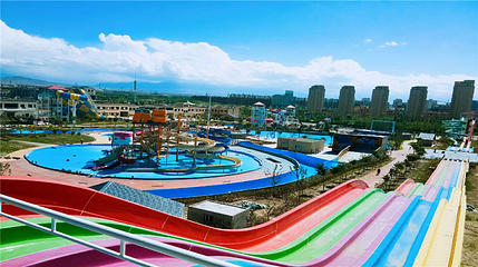 胡杨林乐园第 8 张图片
