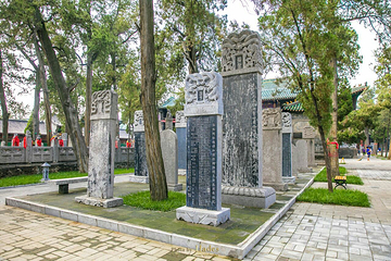 关林街道第 6 张图片