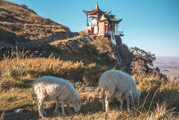 灵山景区第 4 张图片