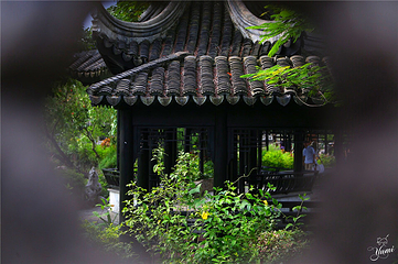 岐江公园第 22 张图片