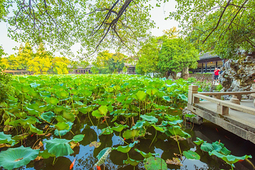 小莲庄第 22 张图片