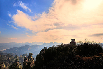 天子山风景区第 17 张图片