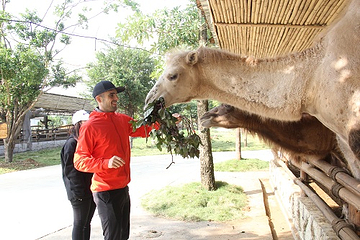 雄森旅游度假区第 109 张图片