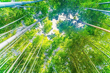 树山生态村第 26 张图片