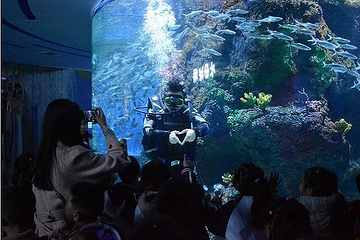 荆州海洋世界·海底乐园第 115 张图片
