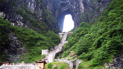 天门山国家森林公园第 252 张图片