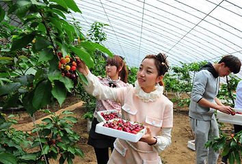 丹东馨艺度假山庄第 17 张图片