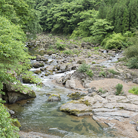 中国眉山七里坪旅游度假区