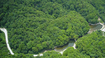 梁平区竹海林场