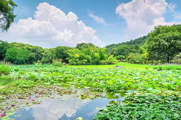 东湖磨山景区第 4 张图片