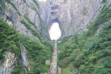 天门山国家森林公园第 255 张图片
