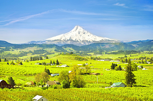 胡德山国家森林