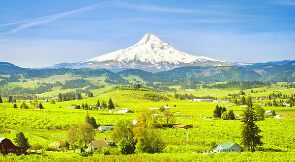 胡德山国家森林