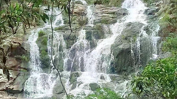 幽峪逸林旅游区