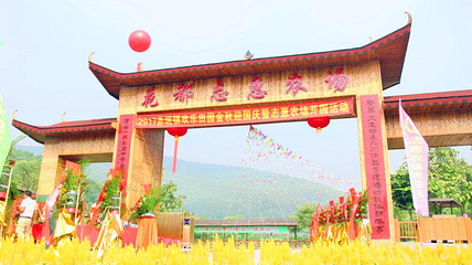 蓝田紫林旅游度假区第 140 张图片