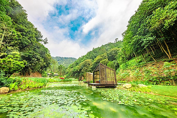 高峰森林公园第 1 张图片