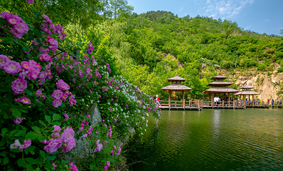 九如山休闲旅游度假区第 141 张图片