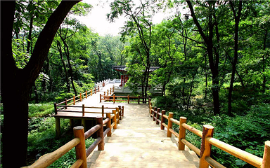 沂蒙山旅游区沂山景区第 2 张图片