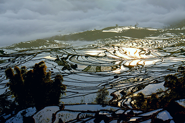 撒玛坝万亩梯田景区第 25 张图片