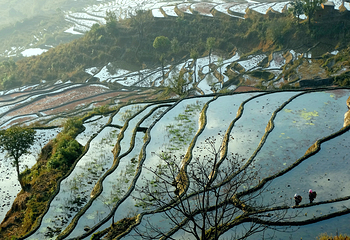 撒玛坝万亩梯田景区第 24 张图片
