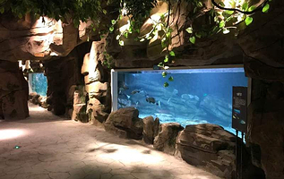 绍兴梦享海洋公园(华联银泰城店)