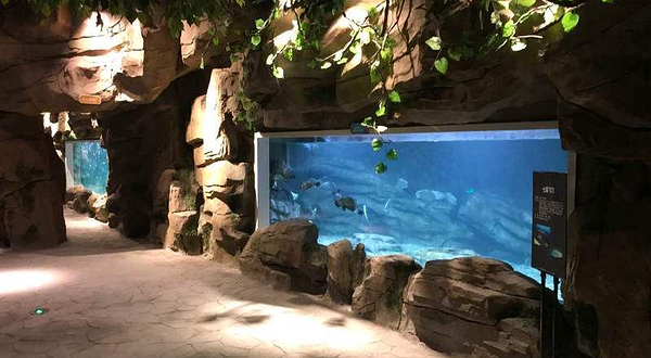 绍兴梦享海洋公园(华联银泰城店)