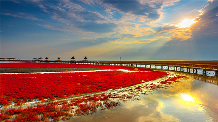 红海滩国家风景廊道第 74 张图片
