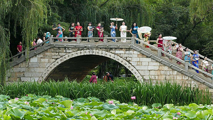 大观公园第 14 张图片