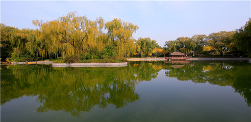 南宫旅游休闲度假区第 70 张图片