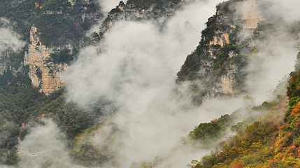 九路寨生态旅游区第 116 张图片