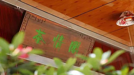 雁南飞茶田景区-桥溪古韵第 36 张图片
