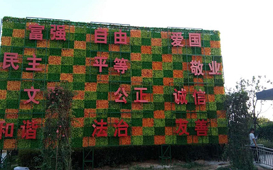 蚌埠花博园第 25 张图片