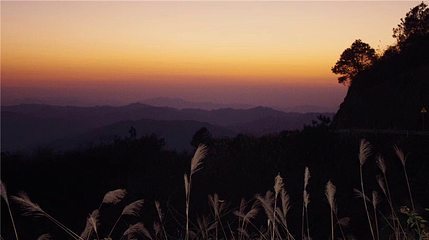 雷山丛林国际牡丹园第 27 张图片