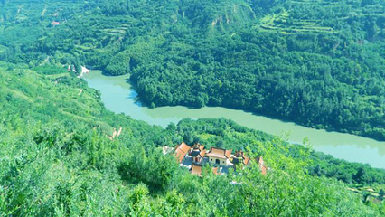 鲸鱼沟竹海风景区第 32 张图片