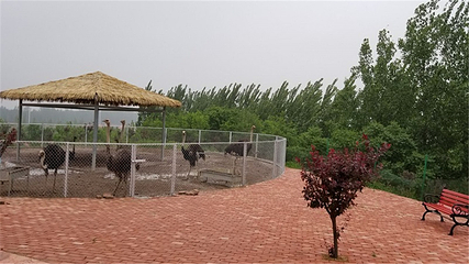 诸城市动物园第 6 张图片