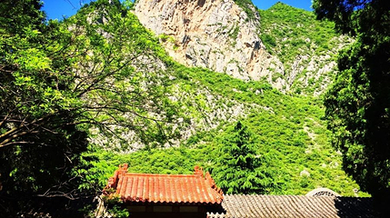 杜甫草堂第 1 张图片