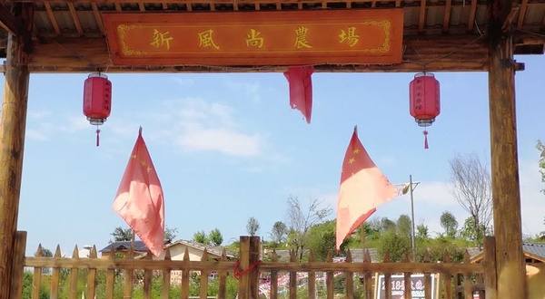 普罗旺斯新风尚农场