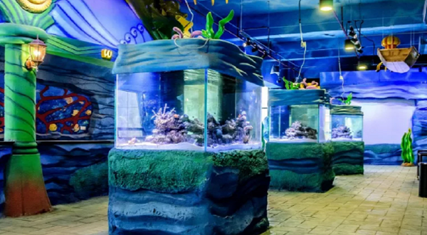 酷嗒动物文化乐园