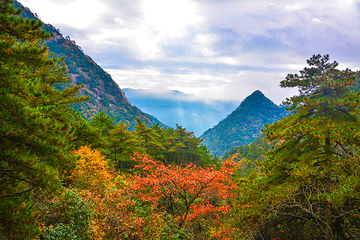 黄山风景区第 229 张图片